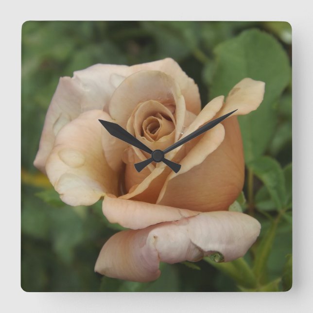 Mauve Rose Quadratische Wanduhr (Vorderseite)