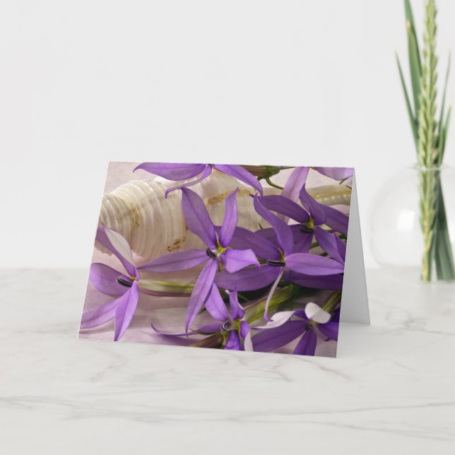 Mauve Starshine Laurentia Karte (Vorderseite)