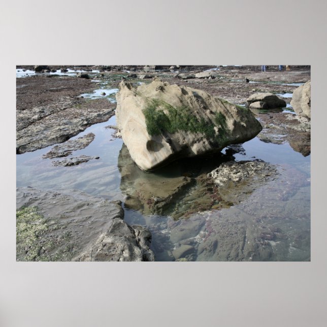 Mavericks Poster (Vorne)