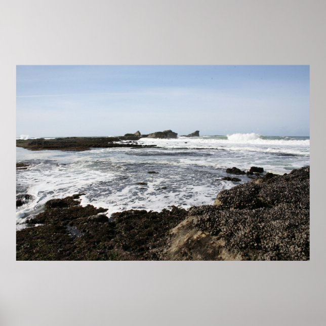 Mavericks Poster (Vorne)