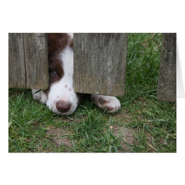 Max (Vorderseite (Horizontal))