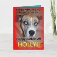 Max. Cooler Hund Geburtstag-Karte