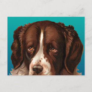Max der große Hund Postkarte