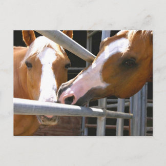 Max & Son Leonardo Postkarte