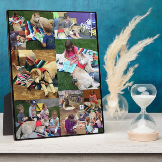 Max-Therapy-Easel (8x10) Fotoplatte