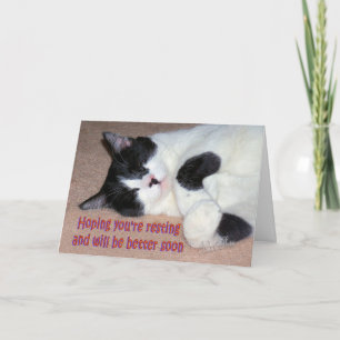 Max. Wiederherstellung Karte