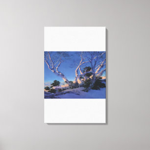 Maxfield Parrish - Birches im Winter Leinwanddruck