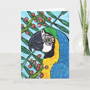Maximal der Macaw Karte