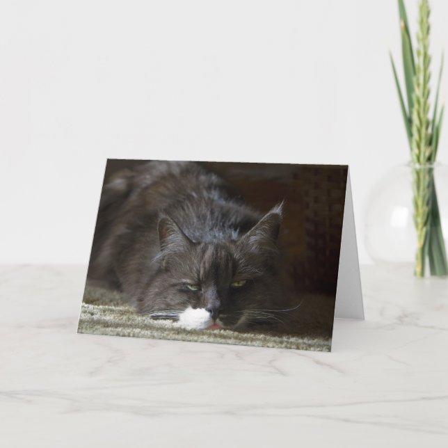 Maximal Karte (Vorderseite)