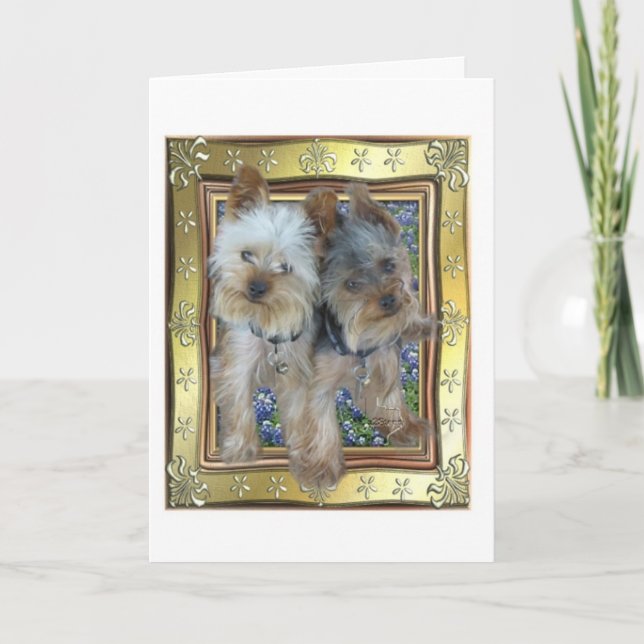 Maximale und Zach Karte (Vorderseite)