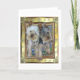 Maximale und Zach Karte