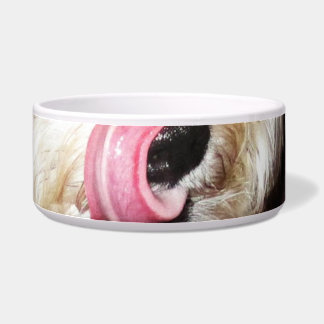 Maximale Zunge der Hündchenschüssel! Napf