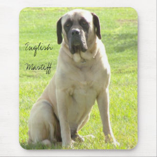 Maximaler, englischer Mastiff Mousepad