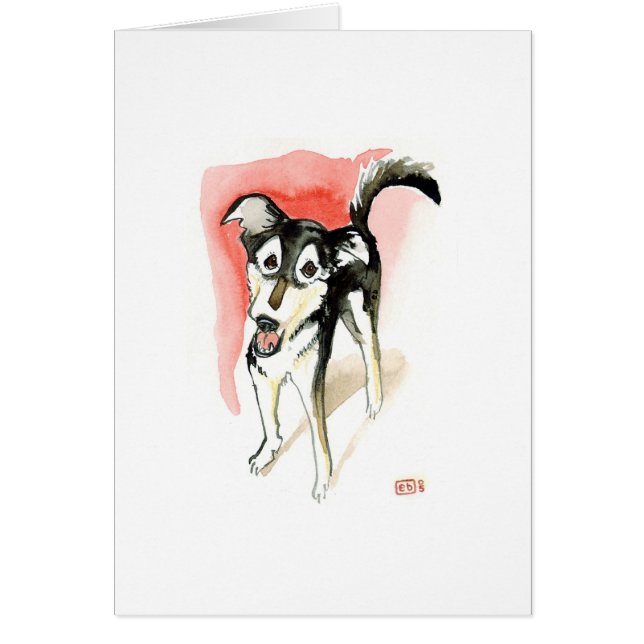 Maximales No.1 (Vorne)