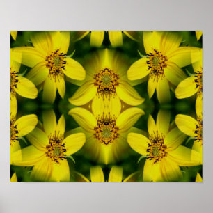Maximillian Sonnenblume Abstract Poster