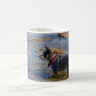 "Maximus" Blue Heeler Coffee Tasse