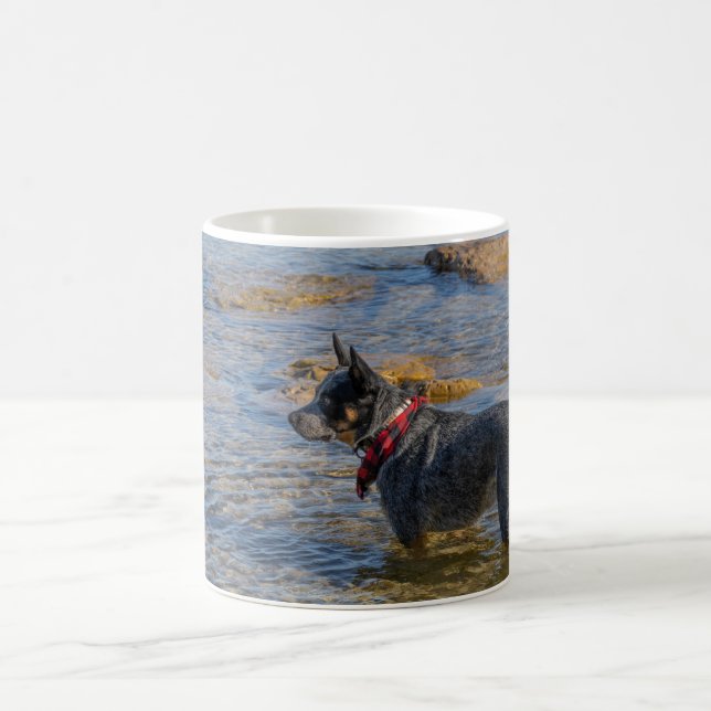 "Maximus" Blue Heeler Coffee Tasse (Mittel)
