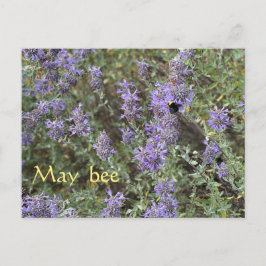 May Bee Postkarte