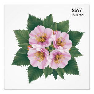 May Birthday Hawthorn Bloom: Personalisiert Fotodruck