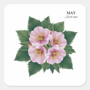 May Birthday Hawthorn Bloom: Personalisiert Quadratischer Aufkleber