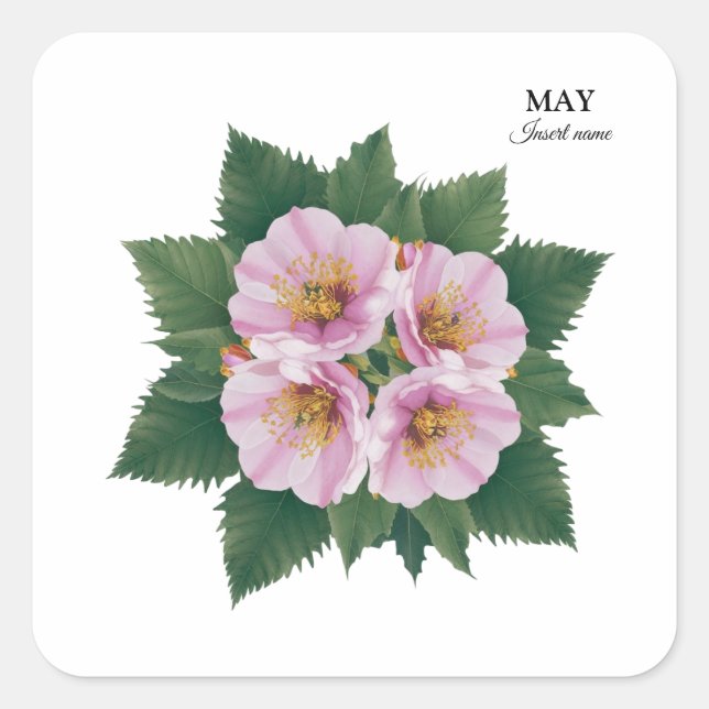 May Birthday Hawthorn Bloom: Personalisiert Quadratischer Aufkleber (Vorderseite)