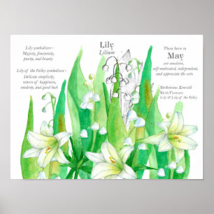 May Birthday Lily of the Valley Language of Blume Poster