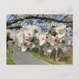 May Flowers Invitation Postcard Postkarte