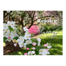 May Flowers Pink Rejoice Always