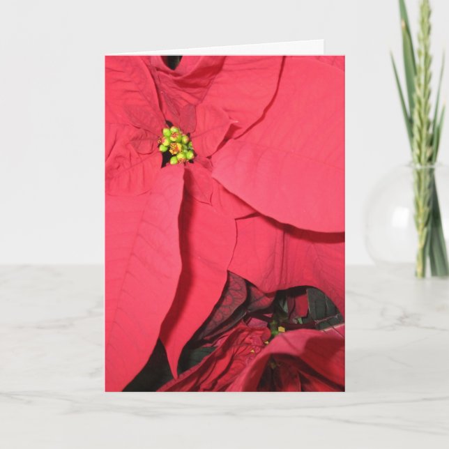 May Holy Angels Karte (Vorderseite)