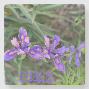 May Iris Steinuntersetzer