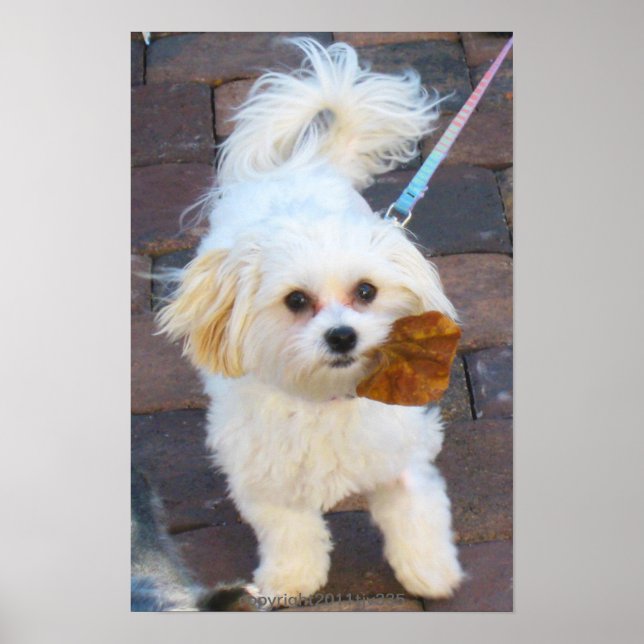 Maya mit Leaf Print Poster (Vorne)