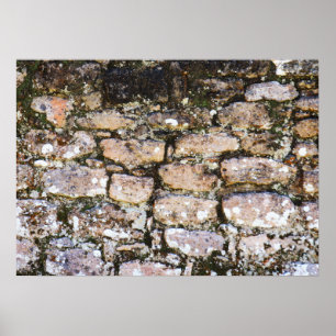 Maya-Ruinen Wand Poster