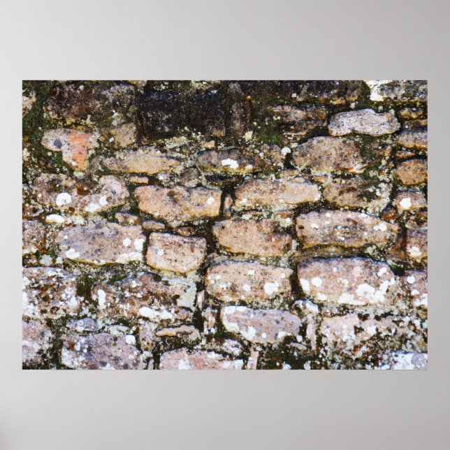 Mayan Ruins Wall  Poster (Vorne)