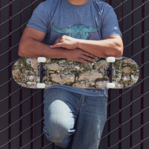 Mayaruinen Wand Skateboard