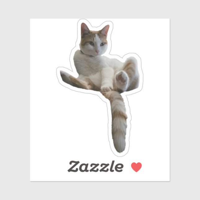 Maybe You Should Cover That Up? Cat Aufkleber (Blatt)