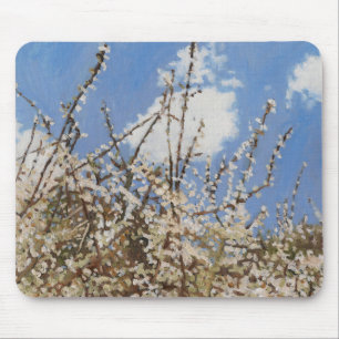 Mayflower 2012 mousepad