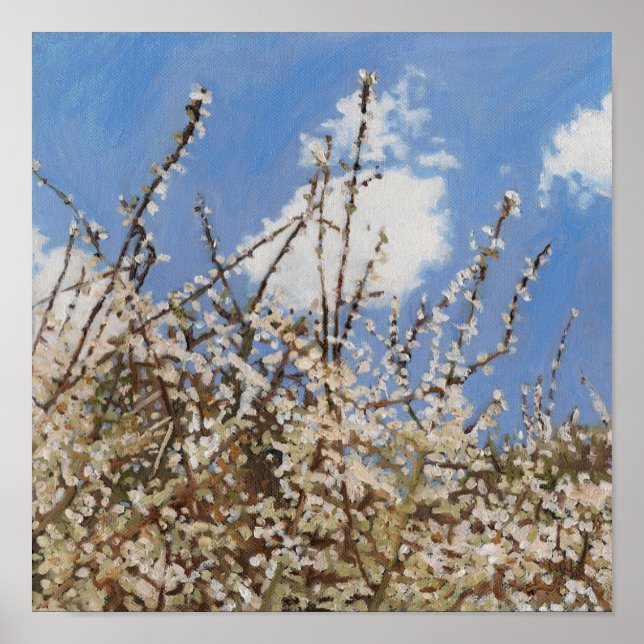 Mayflower 2012 poster (Vorne)