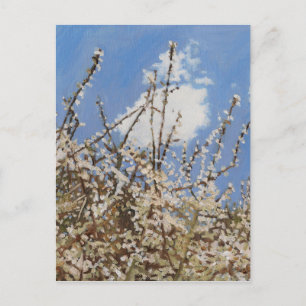 Mayflower 2012 postkarte