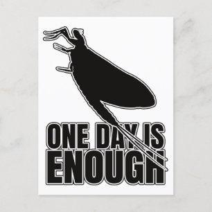 Mayflower One Day Flies - Entomology Geek Postkarte