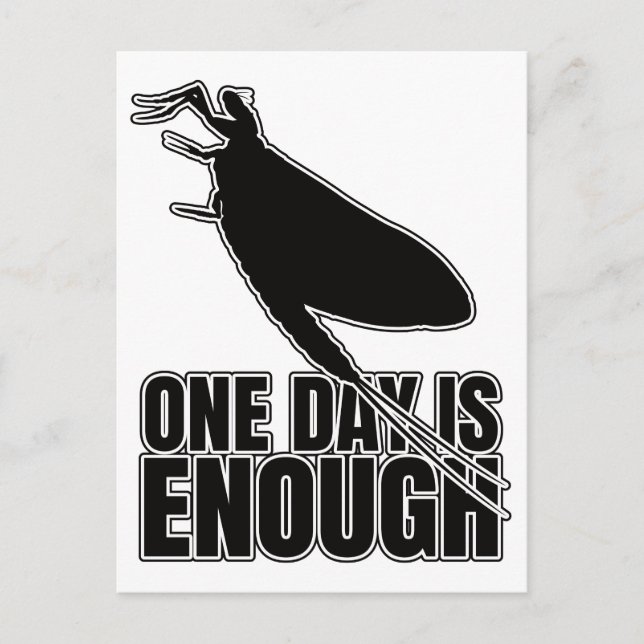 Mayflower One Day Flies - Entomology Geek Postkarte (Vorderseite)