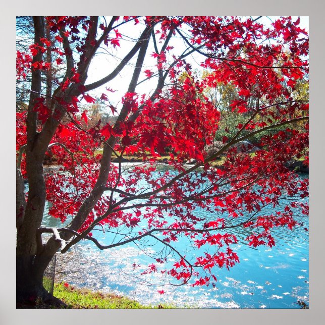 Maymont Gardens Red Maple Treatment New Orleans Cl Poster (Vorne)