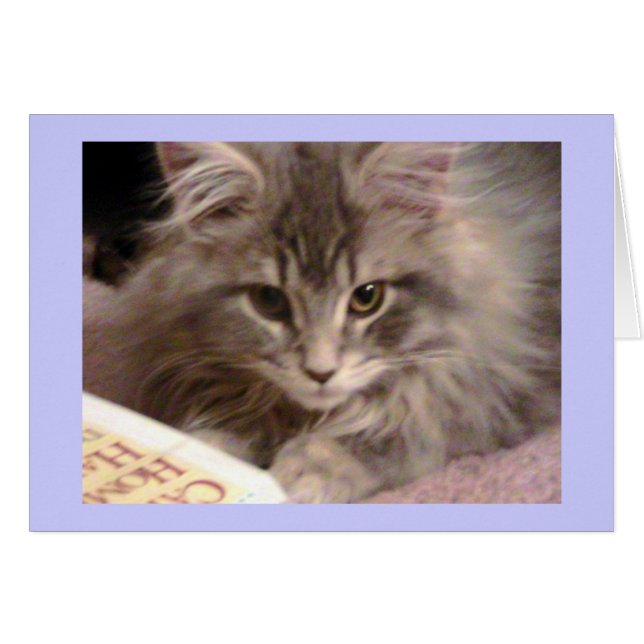 Maynards kitschige neue Karte (Vorderseite (Horizontal))