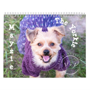 Mayzie Calendar II (Stil 2022) Kalender