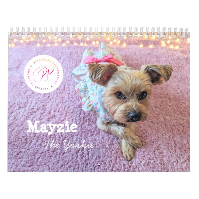 Mayzie Calendar VI (Stil 2025) Kalender (Titelbild)