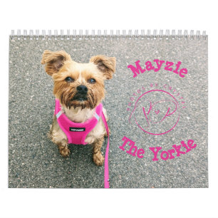 Mayzie Kalender IV (Stil 2024)