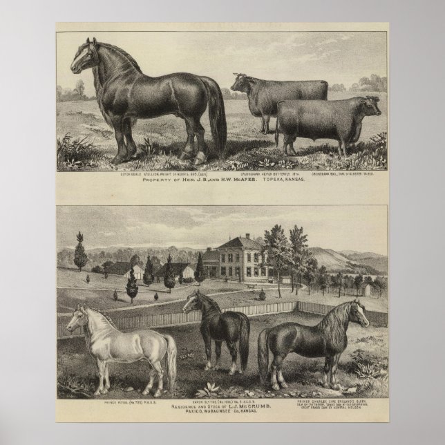 McAfee property, Topeka McCrumb, Kansas Poster (Vorne)