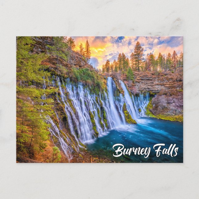 McArthur-Burney Falls Memorial State Park Postkarte (Vorderseite)