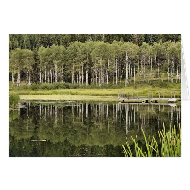 McCall Pond (Vorderseite (Horizontal))