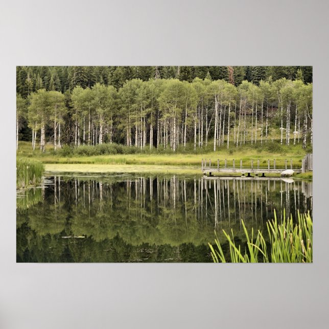 McCall Pond Poster (Vorne)