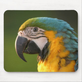McCaw Mousepad